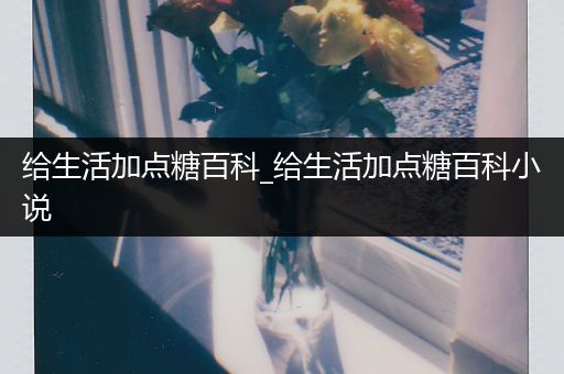 给生活加点糖百科_给生活加点糖百科小说