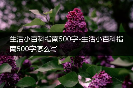 生活小百科指南500字-生活小百科指南500字怎么写