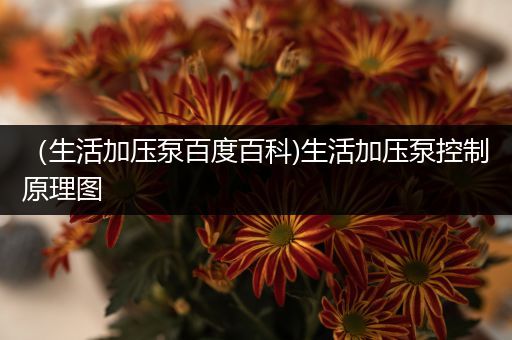 （生活加压泵百度百科)生活加压泵控制原理图