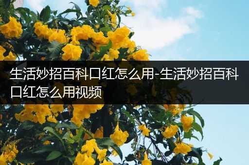 生活妙招百科口红怎么用-生活妙招百科口红怎么用视频