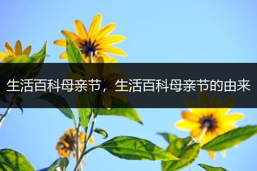 生活百科母亲节，生活百科母亲节的由来