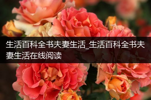 生活百科全书夫妻生活_生活百科全书夫妻生活在线阅读