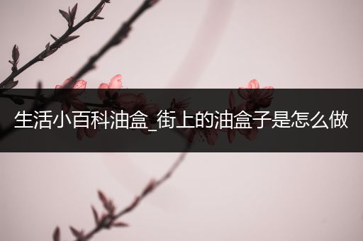 生活小百科油盒_街上的油盒子是怎么做