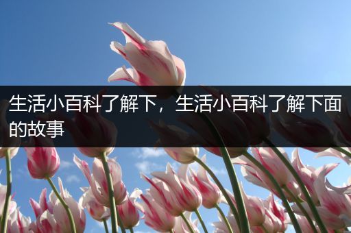 生活小百科了解下，生活小百科了解下面的故事