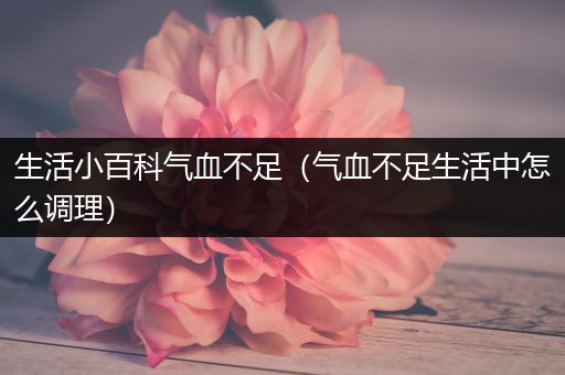 生活小百科气血不足（气血不足生活中怎么调理）