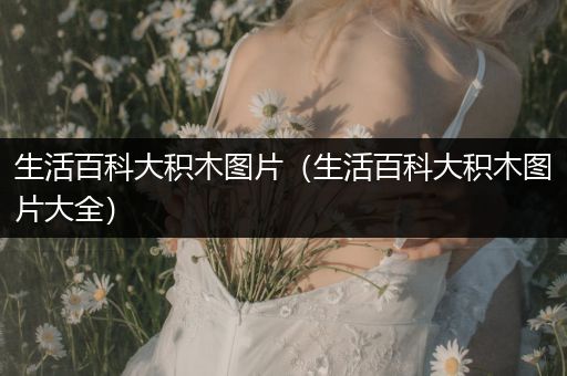 生活百科大积木图片（生活百科大积木图片大全）