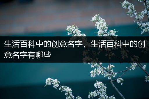 生活百科中的创意名字，生活百科中的创意名字有哪些