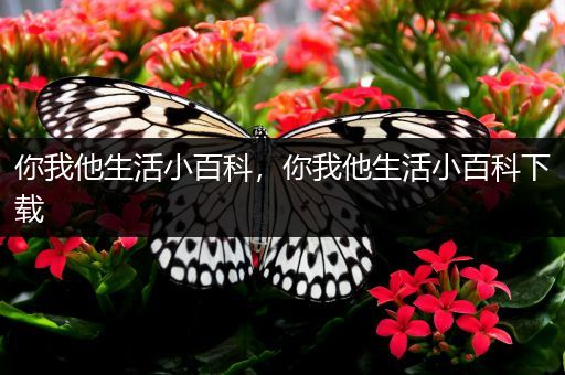 你我他生活小百科，你我他生活小百科下载