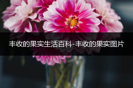 丰收的果实生活百科-丰收的果实图片