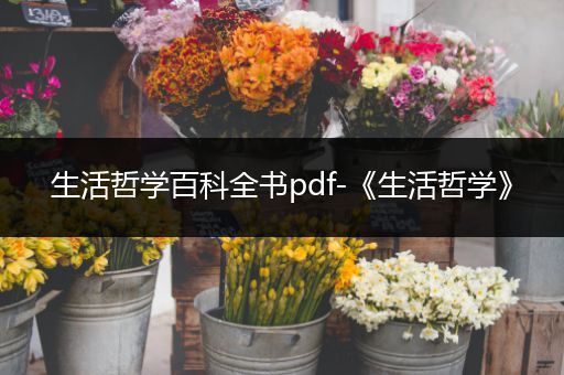 生活哲学百科全书pdf-《生活哲学》