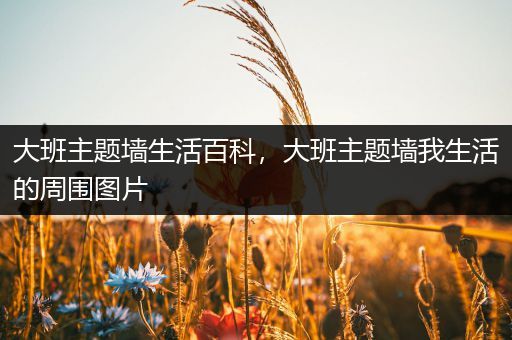 大班主题墙生活百科，大班主题墙我生活的周围图片