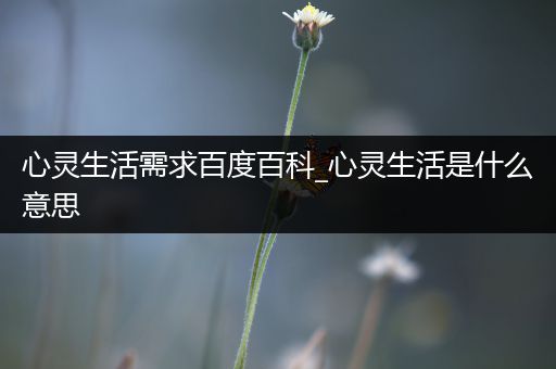 心灵生活需求百度百科_心灵生活是什么意思