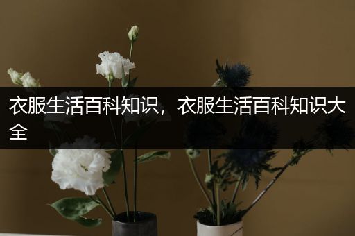 衣服生活百科知识，衣服生活百科知识大全