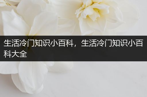 生活冷门知识小百科，生活冷门知识小百科大全