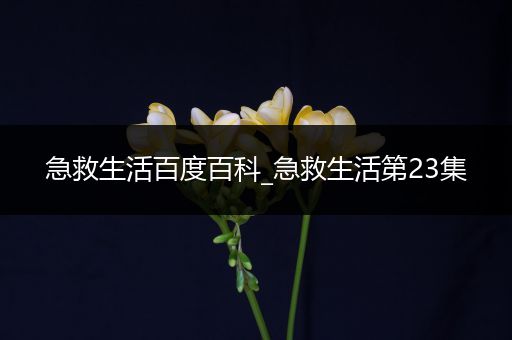 急救生活百度百科_急救生活第23集