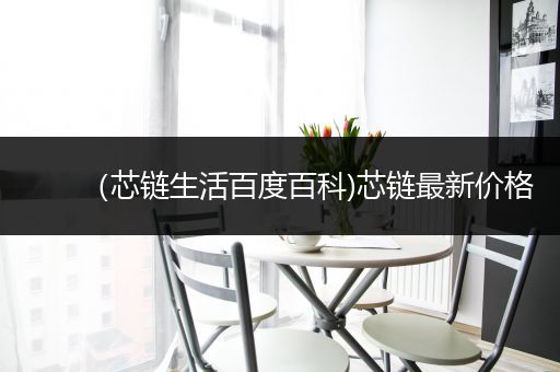 （芯链生活百度百科)芯链最新价格