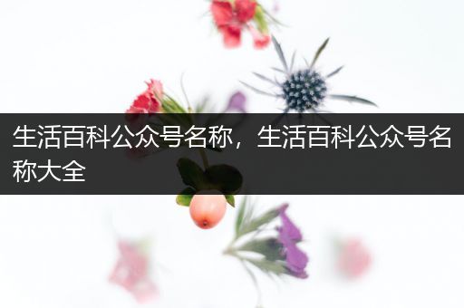 生活百科公众号名称，生活百科公众号名称大全