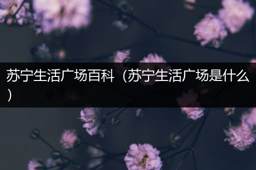 苏宁生活广场百科（苏宁生活广场是什么）