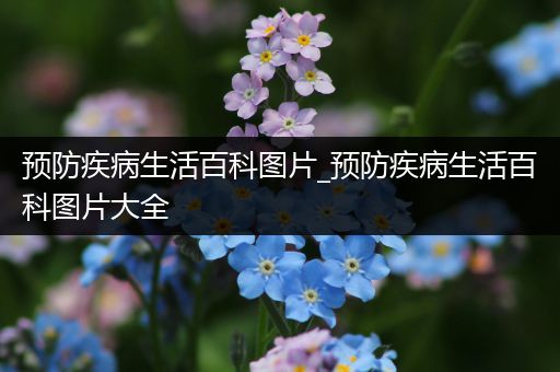 预防疾病生活百科图片_预防疾病生活百科图片大全