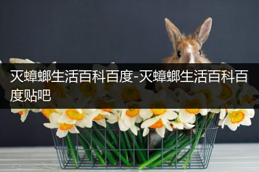 灭蟑螂生活百科百度-灭蟑螂生活百科百度贴吧