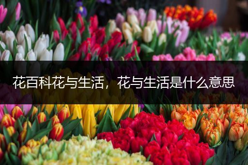 花百科花与生活，花与生活是什么意思