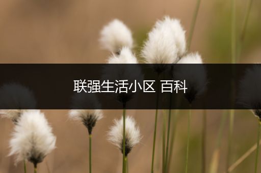 联强生活小区 百科