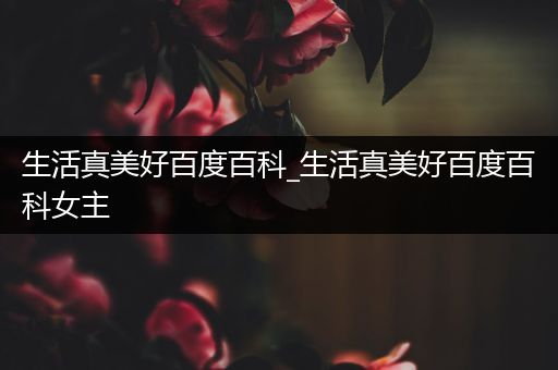 生活真美好百度百科_生活真美好百度百科女主