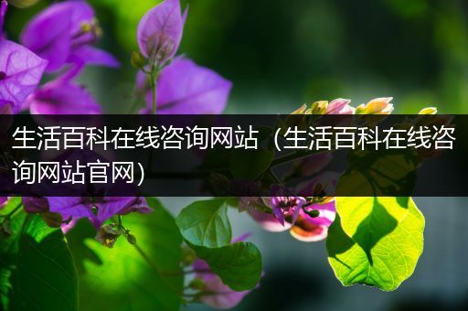 生活百科在线咨询网站（生活百科在线咨询网站官网）