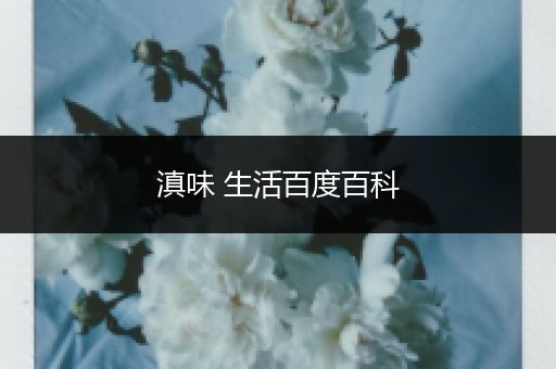 滇味 生活百度百科