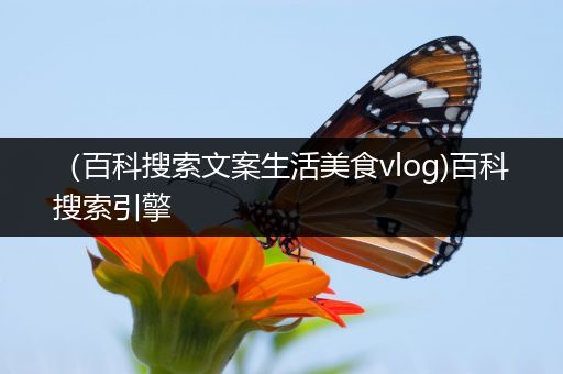 （百科搜索文案生活美食vlog)百科搜索引擎