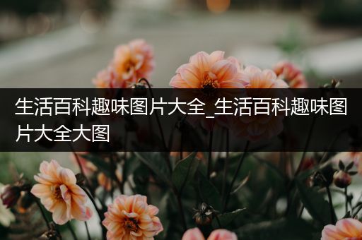 生活百科趣味图片大全_生活百科趣味图片大全大图