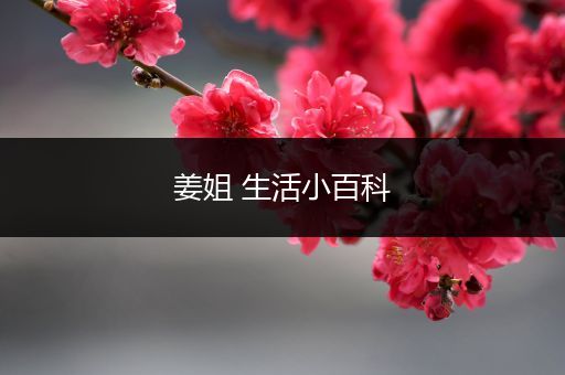 姜姐 生活小百科