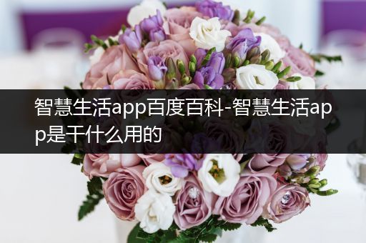 智慧生活app百度百科-智慧生活app是干什么用的