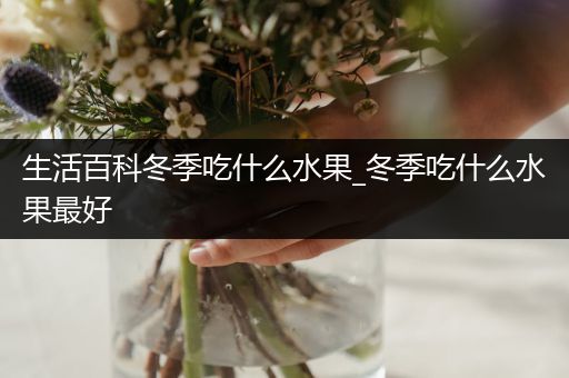 生活百科冬季吃什么水果_冬季吃什么水果最好