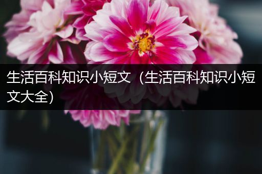 生活百科知识小短文（生活百科知识小短文大全）