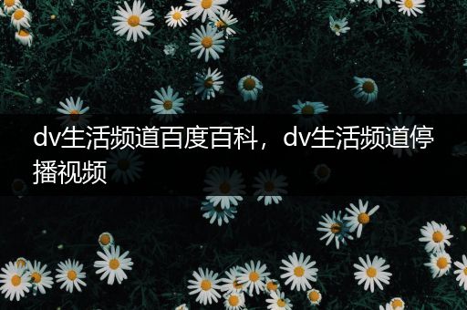 dv生活频道百度百科，dv生活频道停播视频