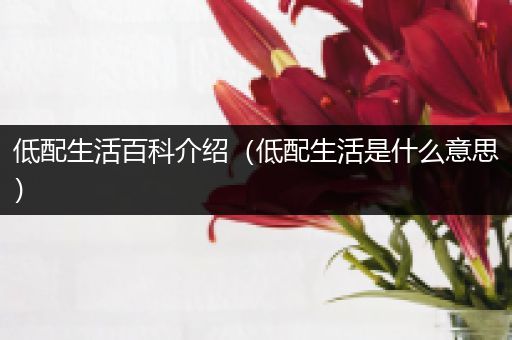 低配生活百科介绍（低配生活是什么意思）