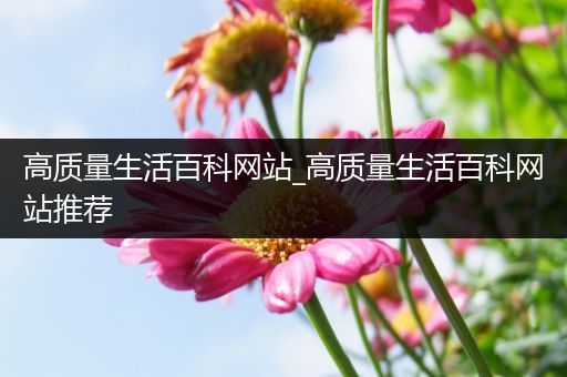 高质量生活百科网站_高质量生活百科网站推荐