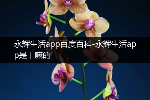 永辉生活app百度百科-永辉生活app是干嘛的