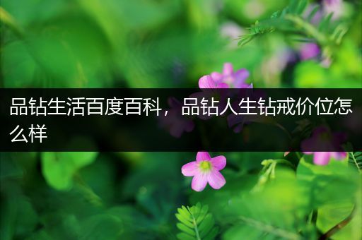 品钻生活百度百科，品钻人生钻戒价位怎么样