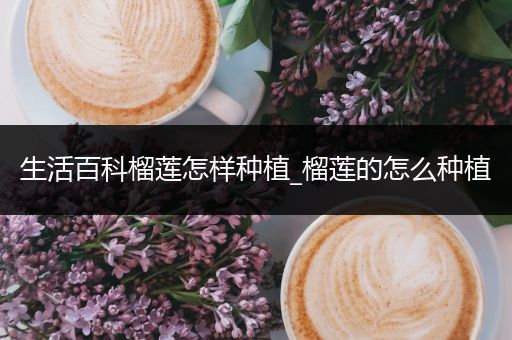 生活百科榴莲怎样种植_榴莲的怎么种植