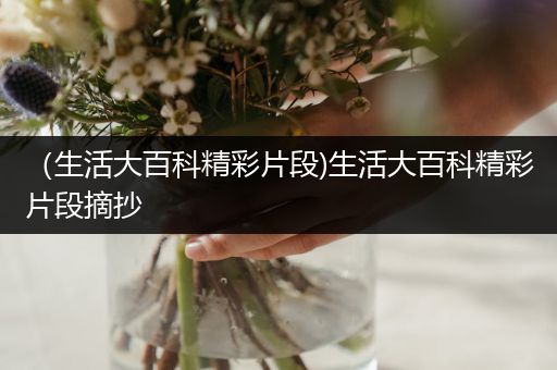 （生活大百科精彩片段)生活大百科精彩片段摘抄