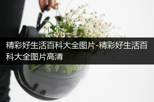 精彩好生活百科大全图片-精彩好生活百科大全图片高清