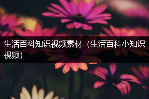 生活百科知识视频素材（生活百科小知识视频）