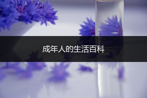 成年人的生活百科