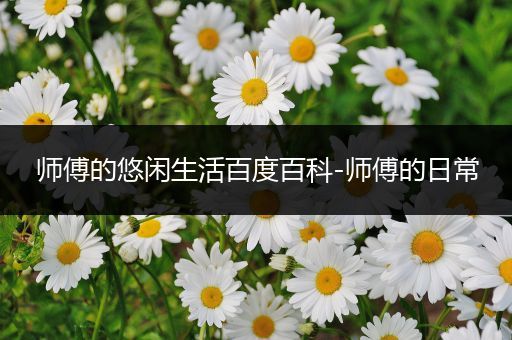 师傅的悠闲生活百度百科-师傅的日常