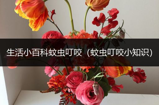 生活小百科蚊虫叮咬（蚊虫叮咬小知识）