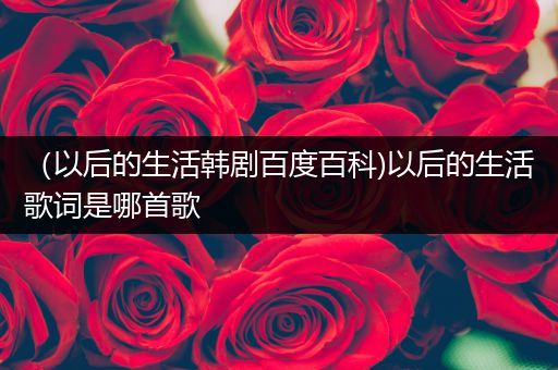 （以后的生活韩剧百度百科)以后的生活歌词是哪首歌