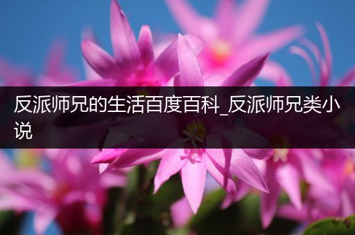 反派师兄的生活百度百科_反派师兄类小说