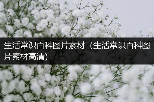 生活常识百科图片素材（生活常识百科图片素材高清）